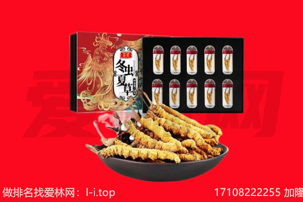 汉中回收虫草.jpg